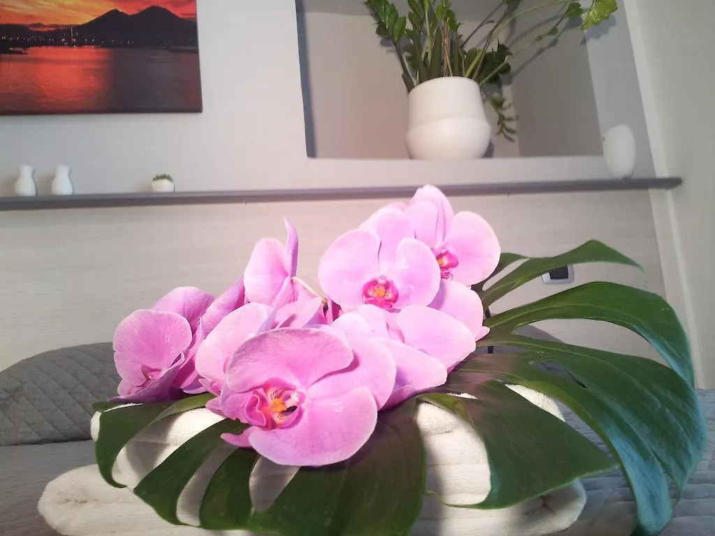Bed & Breakfast B&B Solimena Naples